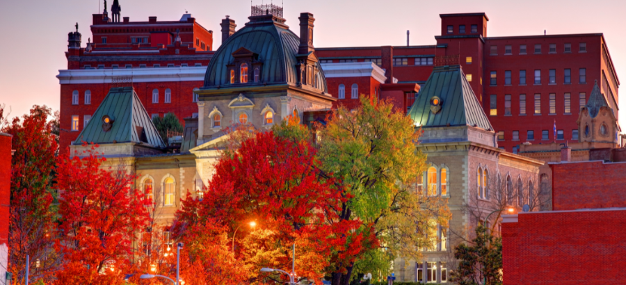 Fall colours in Quebec}